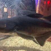 ヒメ日記 2025/08/02 17:00 投稿 琴美 出会い系人妻ネットワーク札幌駅～大通り・すすきの編