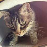 ヒメ日記 2025/08/20 16:06 投稿 琴美 出会い系人妻ネットワーク札幌駅～大通り・すすきの編