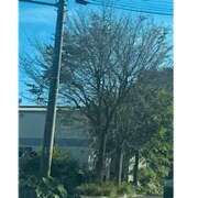 ヒメ日記 2025/08/29 13:12 投稿 琴美 出会い系人妻ネットワーク札幌駅～大通り・すすきの編