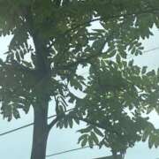 ヒメ日記 2025/09/03 13:12 投稿 琴美 出会い系人妻ネットワーク札幌駅～大通り・すすきの編