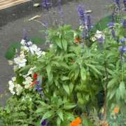 ヒメ日記 2025/09/05 18:03 投稿 琴美 出会い系人妻ネットワーク札幌駅～大通り・すすきの編