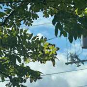 ヒメ日記 2025/09/06 13:09 投稿 琴美 出会い系人妻ネットワーク札幌駅～大通り・すすきの編