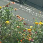 ヒメ日記 2025/09/10 13:12 投稿 琴美 出会い系人妻ネットワーク札幌駅～大通り・すすきの編