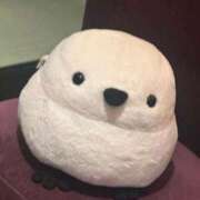 ヒメ日記 2025/09/11 13:18 投稿 琴美 出会い系人妻ネットワーク札幌駅～大通り・すすきの編