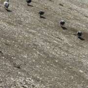 ヒメ日記 2025/09/19 21:18 投稿 琴美 出会い系人妻ネットワーク札幌駅～大通り・すすきの編