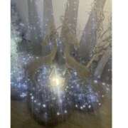 ヒメ日記 2025/09/29 21:06 投稿 琴美 出会い系人妻ネットワーク札幌駅～大通り・すすきの編