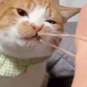 ヒメ日記 2025/10/04 16:27 投稿 琴美 出会い系人妻ネットワーク札幌駅～大通り・すすきの編