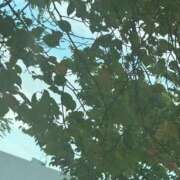 ヒメ日記 2025/10/13 13:09 投稿 琴美 出会い系人妻ネットワーク札幌駅～大通り・すすきの編