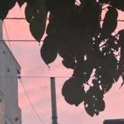 ヒメ日記 2025/10/14 13:18 投稿 琴美 出会い系人妻ネットワーク札幌駅～大通り・すすきの編