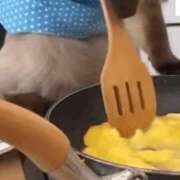 ヒメ日記 2025/10/23 21:19 投稿 琴美 出会い系人妻ネットワーク札幌駅～大通り・すすきの編