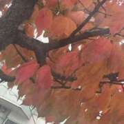 ヒメ日記 2025/10/24 16:04 投稿 琴美 出会い系人妻ネットワーク札幌駅～大通り・すすきの編