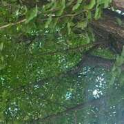 ヒメ日記 2025/10/26 13:19 投稿 琴美 出会い系人妻ネットワーク札幌駅～大通り・すすきの編