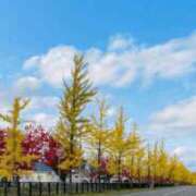 ヒメ日記 2025/10/30 18:20 投稿 琴美 出会い系人妻ネットワーク札幌駅～大通り・すすきの編