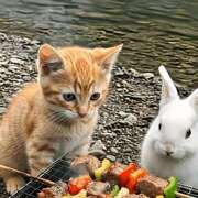 ヒメ日記 2025/10/31 16:19 投稿 琴美 出会い系人妻ネットワーク札幌駅～大通り・すすきの編