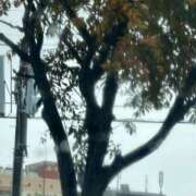 ヒメ日記 2025/11/04 13:04 投稿 琴美 出会い系人妻ネットワーク札幌駅～大通り・すすきの編