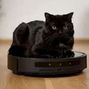 ヒメ日記 2025/11/06 16:03 投稿 琴美 出会い系人妻ネットワーク札幌駅～大通り・すすきの編