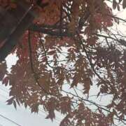 ヒメ日記 2025/11/07 13:19 投稿 琴美 出会い系人妻ネットワーク札幌駅～大通り・すすきの編