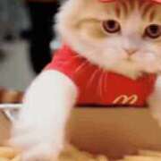 ヒメ日記 2025/11/17 16:03 投稿 琴美 出会い系人妻ネットワーク札幌駅～大通り・すすきの編