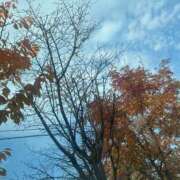 ヒメ日記 2025/11/19 10:03 投稿 琴美 出会い系人妻ネットワーク札幌駅～大通り・すすきの編