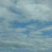 ヒメ日記 2025/11/27 10:19 投稿 琴美 出会い系人妻ネットワーク札幌駅～大通り・すすきの編