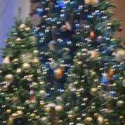 ヒメ日記 2025/12/08 13:04 投稿 琴美 出会い系人妻ネットワーク札幌駅～大通り・すすきの編