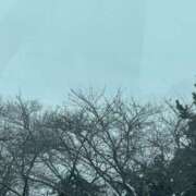 ヒメ日記 2025/12/14 10:03 投稿 琴美 出会い系人妻ネットワーク札幌駅～大通り・すすきの編