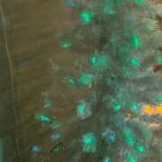 ヒメ日記 2025/12/18 10:04 投稿 琴美 出会い系人妻ネットワーク札幌駅～大通り・すすきの編