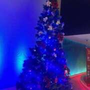 ヒメ日記 2025/12/20 13:04 投稿 琴美 出会い系人妻ネットワーク札幌駅～大通り・すすきの編