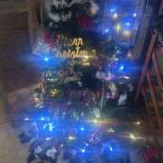 ヒメ日記 2025/12/25 20:20 投稿 琴美 出会い系人妻ネットワーク札幌駅～大通り・すすきの編