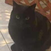 琴美 こんばんは 出会い系人妻ネットワーク札幌駅～大通り・すすきの編