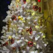 琴美 出勤しました 出会い系人妻ネットワーク札幌駅～大通り・すすきの編