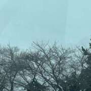 ヒメ日記 2026/01/04 10:20 投稿 琴美 出会い系人妻ネットワーク札幌駅～大通り・すすきの編