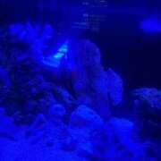 ヒメ日記 2026/01/05 13:04 投稿 琴美 出会い系人妻ネットワーク札幌駅～大通り・すすきの編