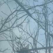 ヒメ日記 2026/01/08 10:19 投稿 琴美 出会い系人妻ネットワーク札幌駅～大通り・すすきの編