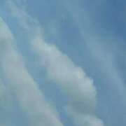 ヒメ日記 2026/01/09 10:03 投稿 琴美 出会い系人妻ネットワーク札幌駅～大通り・すすきの編