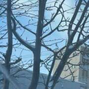 ヒメ日記 2026/01/12 13:03 投稿 琴美 出会い系人妻ネットワーク札幌駅～大通り・すすきの編