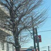 ヒメ日記 2026/01/18 10:48 投稿 琴美 出会い系人妻ネットワーク札幌駅～大通り・すすきの編