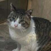 ヒメ日記 2026/01/19 18:49 投稿 琴美 出会い系人妻ネットワーク札幌駅～大通り・すすきの編