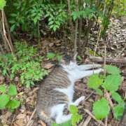 ヒメ日記 2025/07/13 16:48 投稿 なほ あふたーすくーる本店