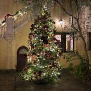 ヒメ日記 2025/12/19 16:25 投稿 なほ あふたーすくーる本店