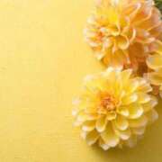 ヒメ日記 2026/04/08 18:04 投稿 みく 出会い系人妻ネットワーク札幌駅～大通り・すすきの編