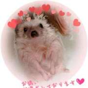 ヒメ日記 2025/05/10 15:43 投稿 紗江-さえ【FG系列】 ほんつま 沼津店 (FG系列)