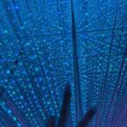 ヒメ日記 2025/10/01 12:54 投稿 みく JAPAN CLUB BUNNY LOUNGE