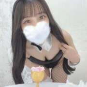 ヒメ日記 2025/10/28 18:16 投稿 みく JAPAN CLUB BUNNY LOUNGE