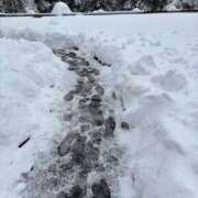 ヒメ日記 2026/02/09 10:01 投稿 みく JAPAN CLUB BUNNY LOUNGE