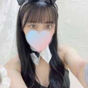 ヒメ日記 2026/04/14 14:00 投稿 みく JAPAN CLUB BUNNY LOUNGE