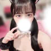 みく 懐いてね…🐈‍⬛ JAPAN CLUB BUNNY LOUNGE