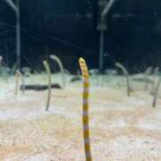 ヒメ日記 2025/07/28 20:03 投稿 高橋あゆ Finemotion