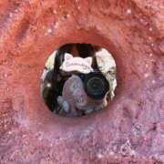 ヒメ日記 2025/10/04 12:02 投稿 高橋あゆ Finemotion