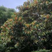 ヒメ日記 2025/10/25 17:42 投稿 高橋あゆ Finemotion